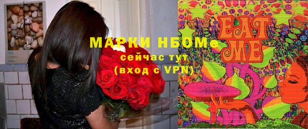 амф Майский