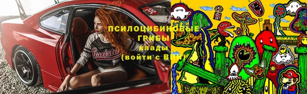 бутират Медногорск