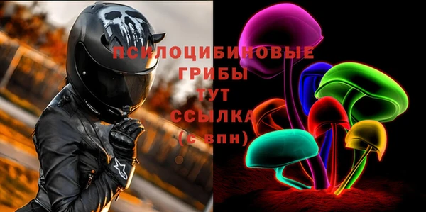 бутират Медногорск