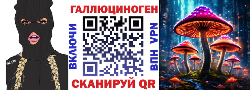 где купить наркотик  кракен tor  Псилоцибиновые грибы Cubensis  Нариманов 